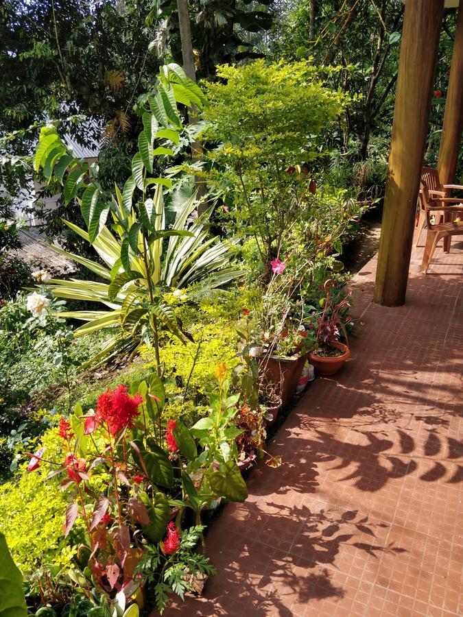 River View Inn Munnar Eksteriør billede